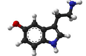 对抑郁症血清素缺乏概念的新支持