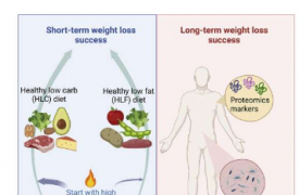 生物标志物可以预测体重减轻