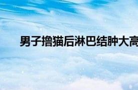 男子撸猫后淋巴结肿大高烧不退具体详细内容是什么