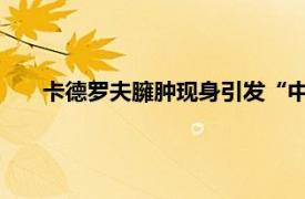 卡德罗夫臃肿现身引发“中毒”猜测具体详细内容是什么