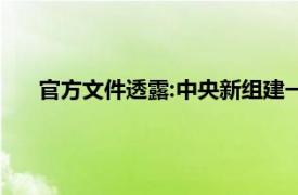 官方文件透露:中央新组建一个委员会具体详细内容是什么