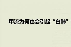 甲流为何也会引起“白肺”?专家详解具体详细内容是什么