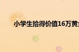 小学生拾得价值16万黄金后续具体详细内容是什么