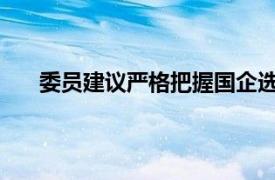 委员建议严格把握国企选聘标准具体详细内容是什么