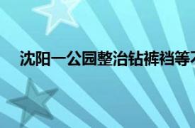 沈阳一公园整治钻裤裆等不雅舞姿具体详细内容是什么