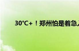 30℃+！郑州怕是着急入夏了具体详细内容是什么