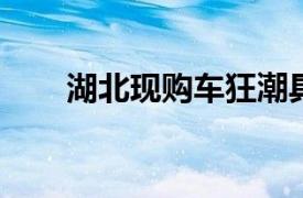 湖北现购车狂潮具体详细内容是什么