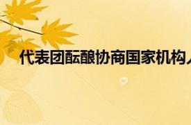 代表团酝酿协商国家机构人员人选具体详细内容是什么