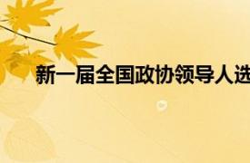 新一届全国政协领导人选举产生具体详细内容是什么