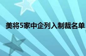 美将5家中企列入制裁名单 中方反对具体详细内容是什么