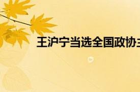 王沪宁当选全国政协主席具体详细内容是什么