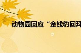 动物园回应“金钱豹回拜游客”具体详细内容是什么