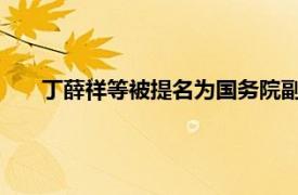 丁薛祥等被提名为国务院副总理人选具体详细内容是什么