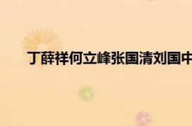 丁薛祥何立峰张国清刘国中为副总理具体详细内容是什么