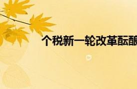 个税新一轮改革酝酿中具体详细内容是什么