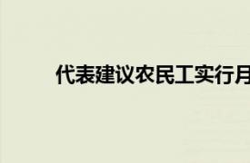 代表建议农民工实行月薪制具体详细内容是什么