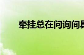 牵挂总在问询间具体详细内容是什么