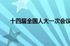 十四届全国人大一次会议闭幕会具体详细内容是什么