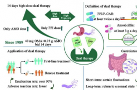 突出双联疗法根除幽门螺杆菌
