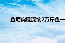 鱼塘突现深坑2万斤鱼一夜消失具体详细内容是什么