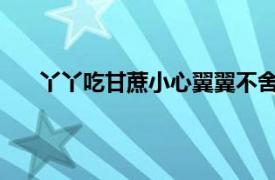 丫丫吃甘蔗小心翼翼不舍得浪费具体详细内容是什么