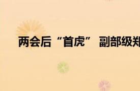 两会后“首虎” 副部级郑洪被查具体详细内容是什么