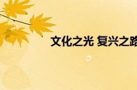 文化之光 复兴之路具体详细内容是什么