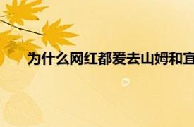 为什么网红都爱去山姆和宜家拍照？具体详细内容是什么