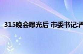 315晚会曝光后 市委书记:严查保护伞具体详细内容是什么