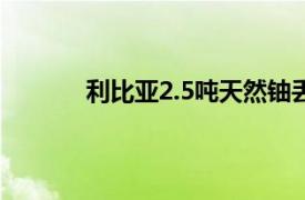 利比亚2.5吨天然铀丢失具体详细内容是什么