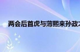 两会后首虎与薄熙来孙政才有交集具体详细内容是什么