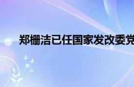 郑栅洁已任国家发改委党组书记具体详细内容是什么