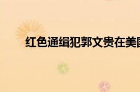 红色通缉犯郭文贵在美国被捕具体详细内容是什么