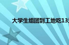 大学生组团到工地吃13元盒饭具体详细内容是什么