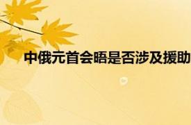 中俄元首会晤是否涉及援助?中方回应具体详细内容是什么