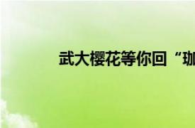 武大樱花等你回“珈”具体详细内容是什么