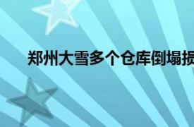 郑州大雪多个仓库倒塌损失惨重具体详细内容是什么