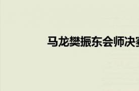 马龙樊振东会师决赛具体详细内容是什么