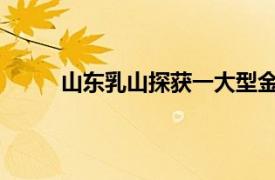 山东乳山探获一大型金矿床具体详细内容是什么