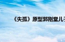 《失孤》原型郭刚堂儿子结婚具体详细内容是什么