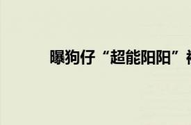 曝狗仔“超能阳阳”被抓具体详细内容是什么