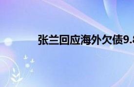 张兰回应海外欠债9.8亿具体详细内容是什么