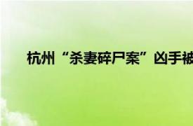 杭州“杀妻碎尸案”凶手被执行死刑具体详细内容是什么