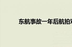 东航事故一年后航拍对比具体详细内容是什么