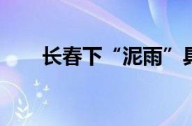 长春下“泥雨”具体详细内容是什么