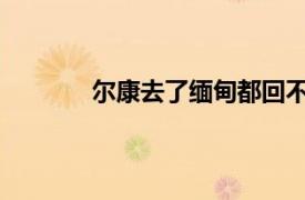 尔康去了缅甸都回不来具体详细内容是什么