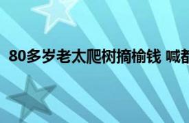 80多岁老太爬树摘榆钱 喊都喊不下来具体详细内容是什么