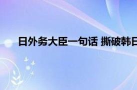 日外务大臣一句话 撕破韩日和好表象具体详细内容是什么