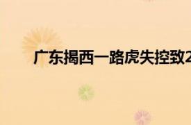 广东揭西一路虎失控致2死3伤具体详细内容是什么