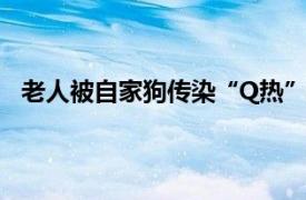 老人被自家狗传染“Q热”高烧一周具体详细内容是什么